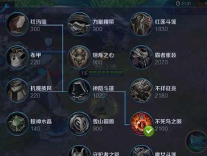 如何正确选择杨玉环的半肉出装攻略（细说杨玉环半肉输出装备搭配，带你登顶战场）