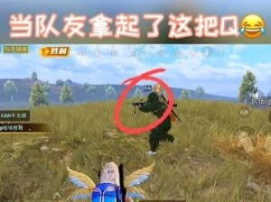 阵营和平精英怎么玩才厉害,掌握阵营策略，成为战场霸主