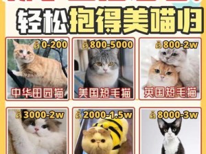 《以小森生活》领养猫攻略（如何养好你的宠物猫）