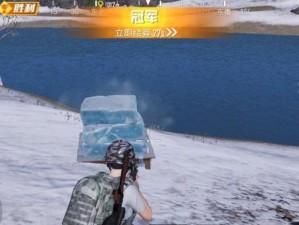 剑网3指尖江湖无尽试炼胜利技巧大揭秘（15个高效技巧助您轻松获得胜利）