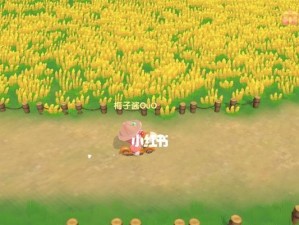 《滑板大地图手游攻略》（揭秘高分技巧，助你登顶排行榜）