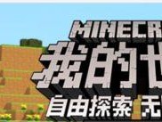 我的世界龙珠怎么用ce,全方位攻略指南
