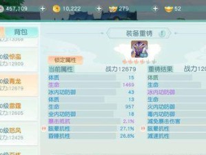 花与剑玄冰伙伴最佳搭配（探讨最适合花与剑玄冰伙伴的拍档）