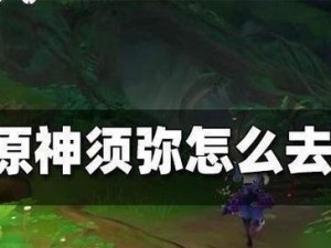 《原神》须弥秘宝迷踪开启攻略（解密须弥秘宝迷踪，轻松开启宝藏之门！）