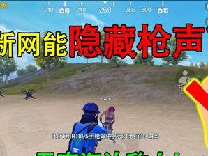 和平精英枪声断声怎么设置,和平精英枪声断声问题解决与设置指南