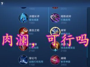 《各路大神出装攻略大揭秘》（掌握最新出装技巧，成为游戏巅峰玩家！）