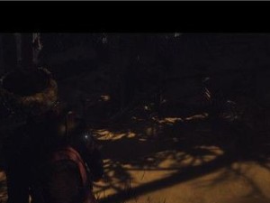 《以直到黎明特典攻略》（探索夜晚世界，策略与技巧一网打尽）