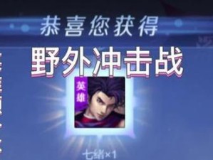 野外冲击战出装攻略（精准选择，打造出色输出！）