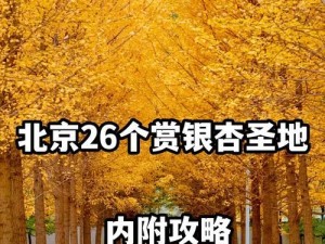 《凌霜圣地猛犸出装攻略》（猛犸战士无敌输出，让凌霜圣地变得不可战胜！）