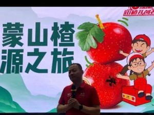 山楂串小游戏技巧攻略（玩转山楂串小游戏，赢得高分好评）