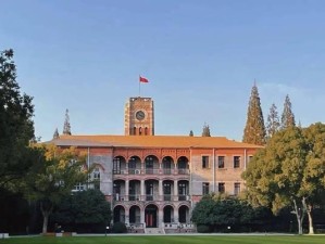 《细说天赐庄周出装顺序攻略》（从菜鸟到高手，教你一步步掌握庄周出装套路）