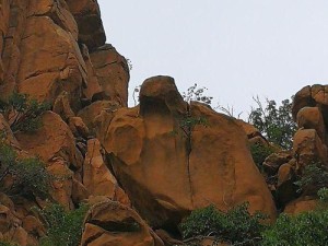 《探秘梦幻千年老鼋攻略》（游戏技巧、秘籍和战略解析，助您轻松成为高手！）