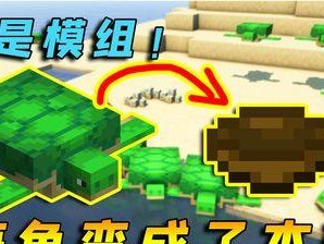 我的世界中龟壳怎么获得,探索海洋奥秘，轻松获取龟壳攻略