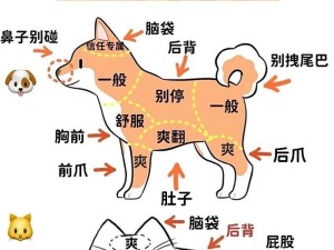 《变异沼栖兽》（探索变异沼栖兽的属性，打造最强宠物）