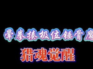 猎魂觉醒攻略（以拳甲技能为核心，让你在猎魂觉醒中无往不胜）