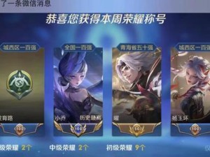 《王者荣耀S28英雄调整最新一览》（全面分析英雄调整，为你的战队保驾护航！）