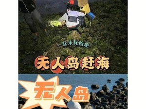 迷失无人岛攻略（探索无人岛，逃离孤岛困境的关键秘籍）